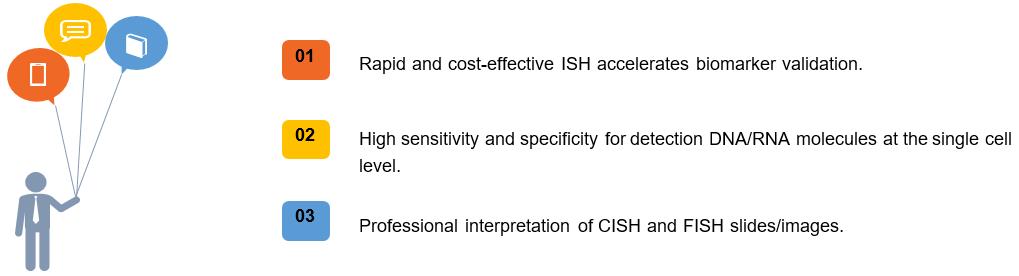 Key Features and Advantages