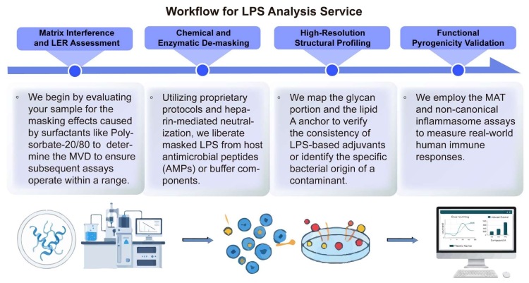 A simple procedure for LPS analysis service. (Creative Biolabs Original)