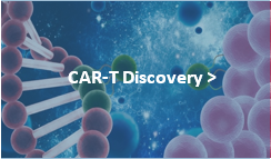 Next CAR-T Therapy Development