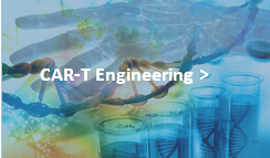 Next CAR-T Therapy Development