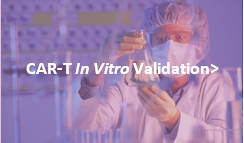 Next CAR-T Therapy Development