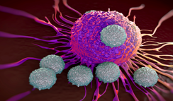 Next CAR-T Therapy Development