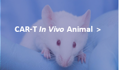 Next CAR-T Therapy Development