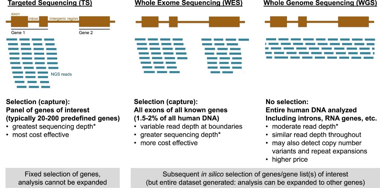 Comparison of targeted gene panel, whole exome sequencing, and whole genome sequencing approaches.