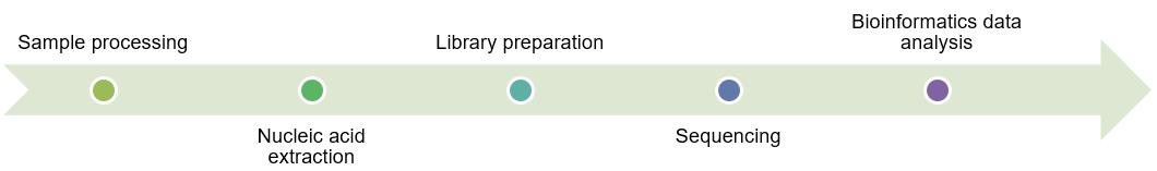 Service Process for NGS-based tumor profiling. (Creative Biolabs Original)
