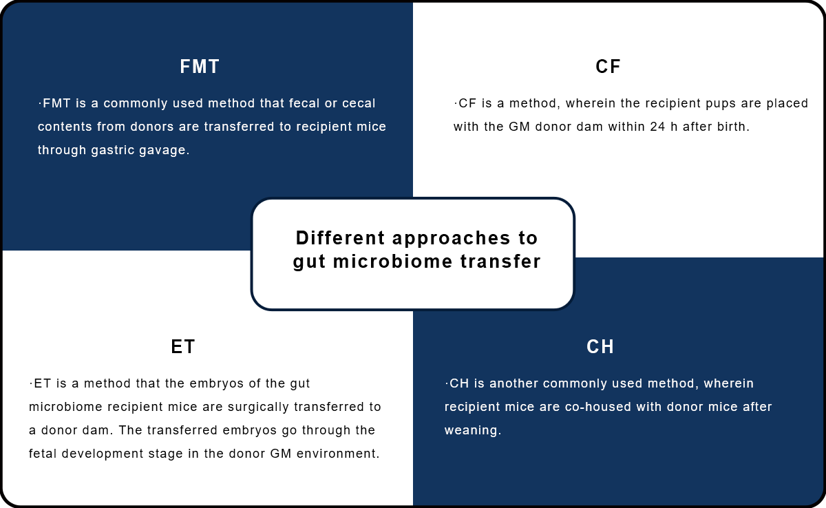 Fig.1 Various methods for transferring the gut microbiome. (Creative Biolabs Original)