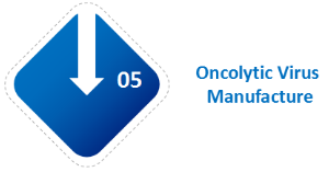 Oncolytic Virus (OV) Therapy