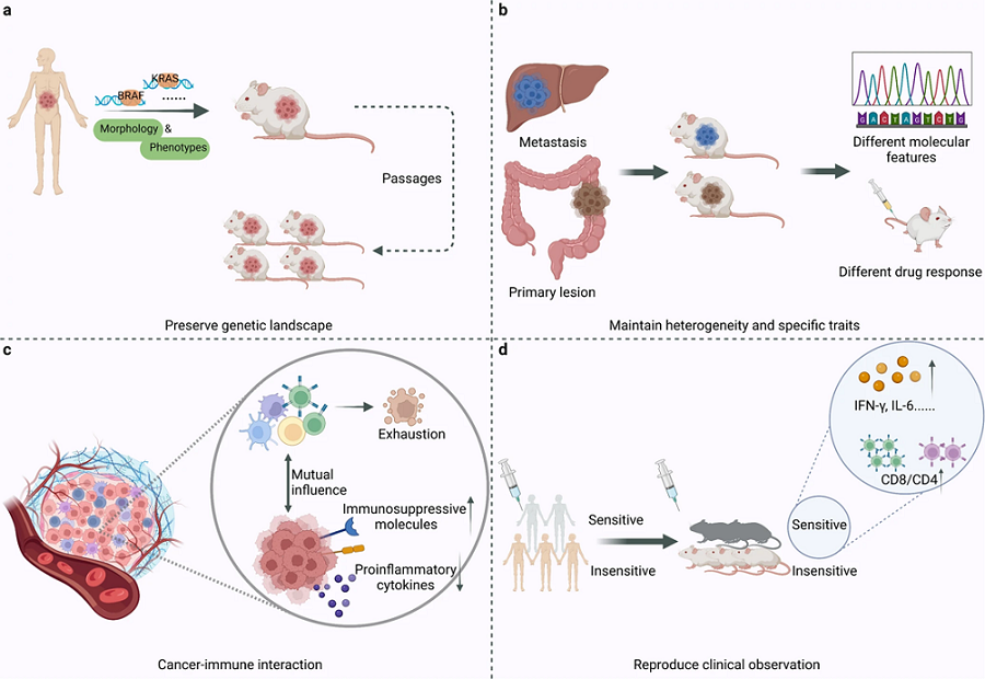 Fig.1 PDX's advantages versus other models. (Liu, et al., 2023)