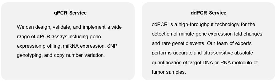 Polymerase Chain Reaction (PCR)-based Tumor Profiling