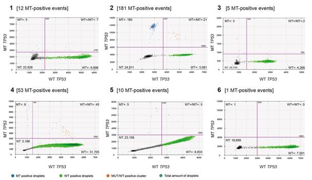 Fig.1 The presence of TP53 mutations in circulating tumor DNA (ctDNA) from patient plasma was detected using droplet digital PCR (ddPCR).