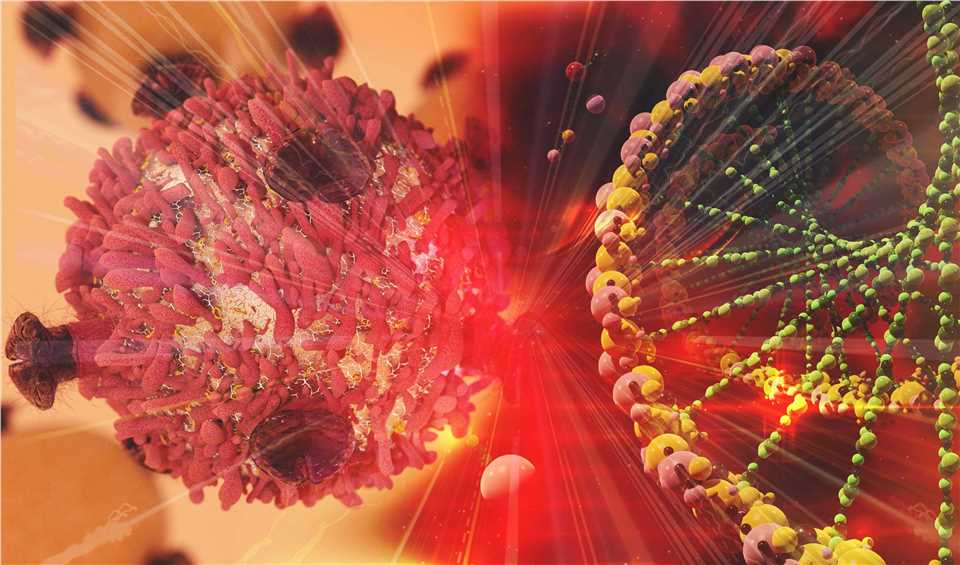 Tumor Profiling to Guide Targeted Cancer Therapy
