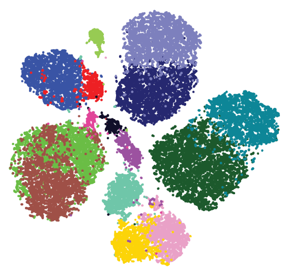 Immune Cells Profiling