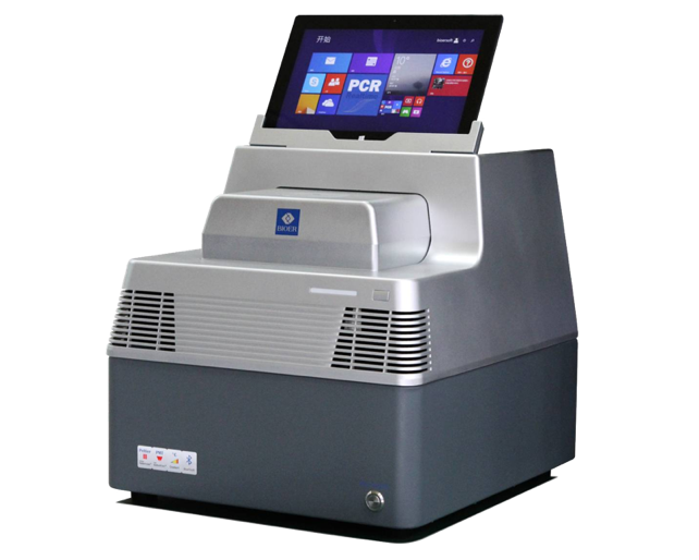 Real-Time PCR Detection System