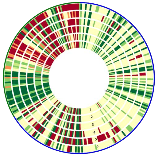 Phenotype MicroArray