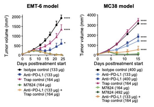 TGF-β × PD-L1 Bi-Functional Therapeutic Fusion Protein Program