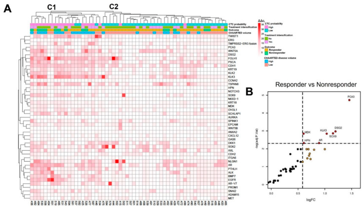 Fig.3 Heatmap depicting the gene expression of MiCoPilot patients before starting androgen deprivation therapy (ADT).