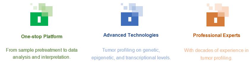 Features of Tumor Profiling in Breast Cancer at Creative Biolabs