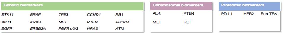 A selection of biomarkers used in tumor profiling for non-small cell lung cancer (NSCLC). (Creative Biolabs Original)