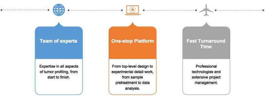 Features of tumor profiling in non-small cell lung cancer (NSCLC). (Creative Biolabs Original)