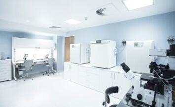 Summary of Production of the GMP Challenge Stock.