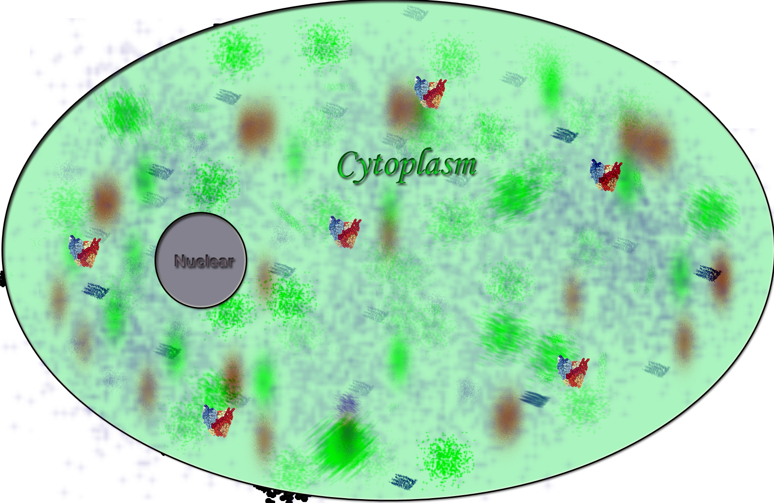 Fig. 1 A sketch map of intrabody cytoplasm localization. (Creative Biolabs Original)