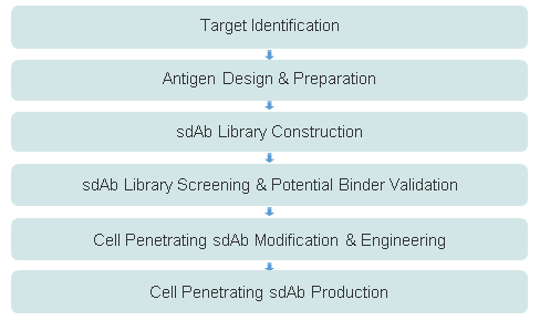 Super™ Cell Penetrating sdAb Discovery
