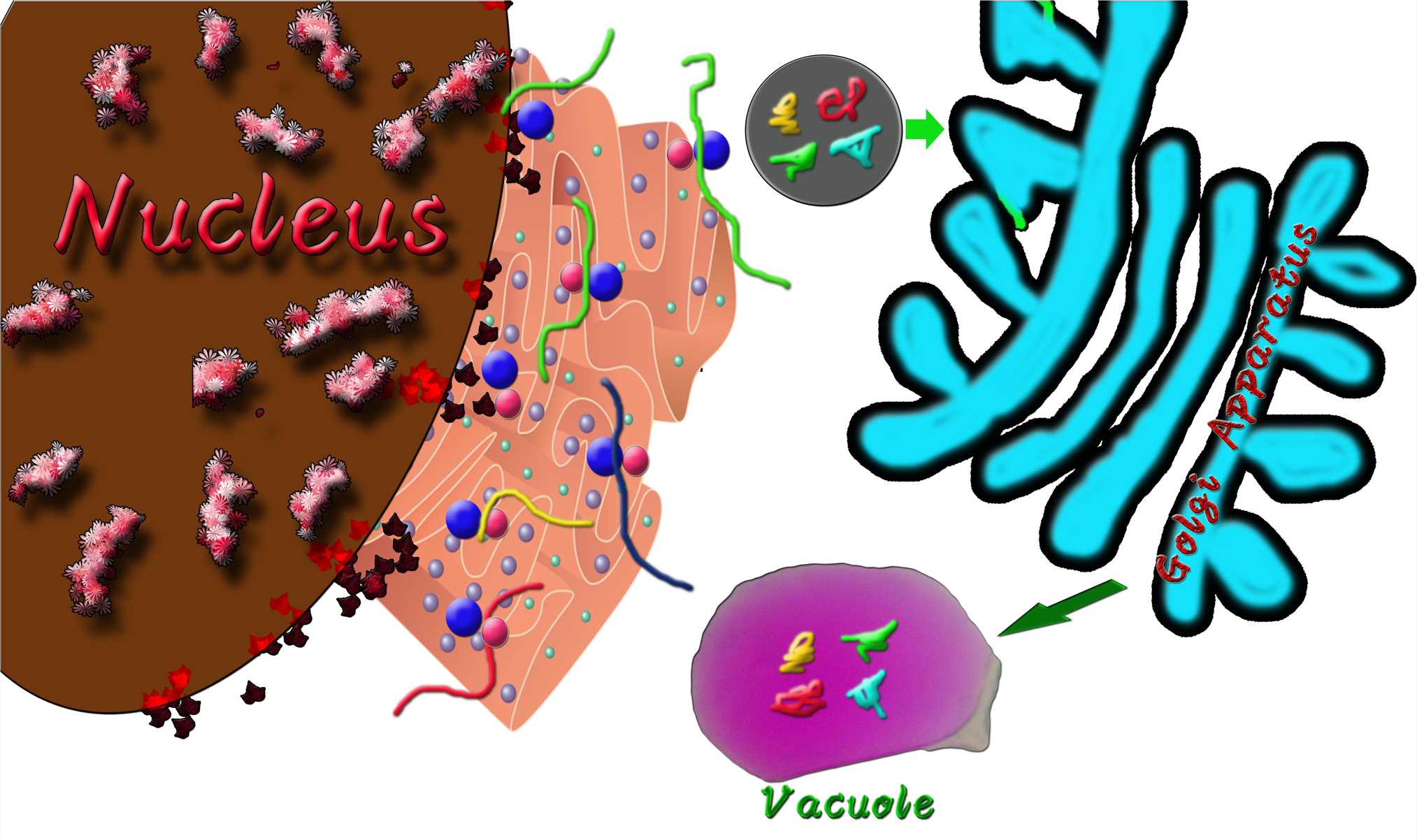 Fig. 1 A sketch map of vacuolar targeting intrabody. (Creative Biolabs Original)