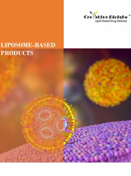 Fig.5 Liposome-based products. (Creative Biolabs Original)