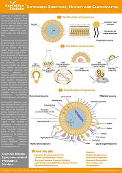 Liposomes Structure, History and Classification - Infographic