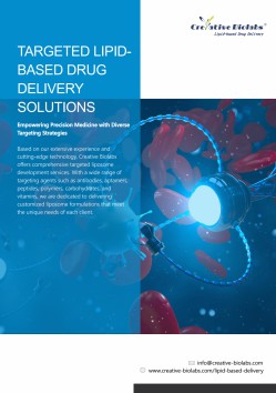 Fig.6 Targeted lipid-based drug delivery solutions. (Creative Biolabs Original)