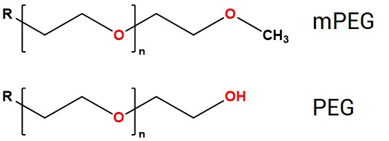 Structural diagram of polyethylene glycol (PEG). (Creative Biolabs Original) 
