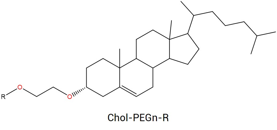 PEGylated cholesterol. (Creative Biolabs Original)