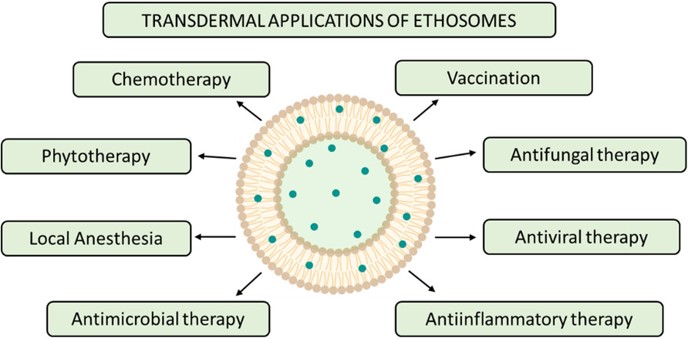 The diverse applications of ethosomes. (OA Literature) 