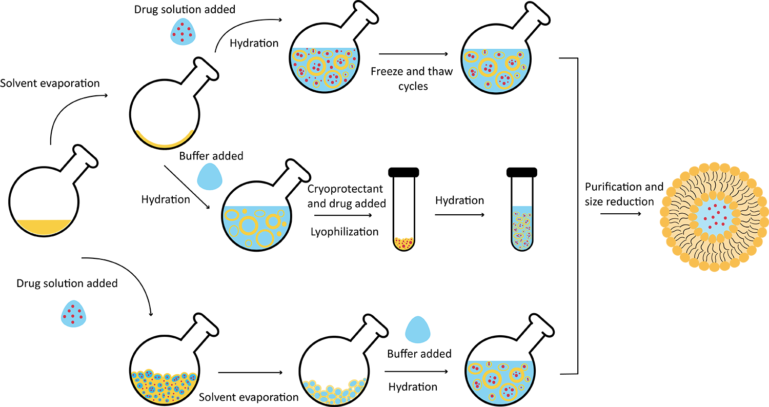 Fig. 2 Hydrophilic drug encapsulation methods. (Creative Biolabs Original)