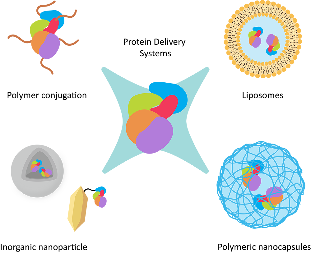 Fig.1 Scheme of different protein delivery systems. (Creative Biolabs Original)