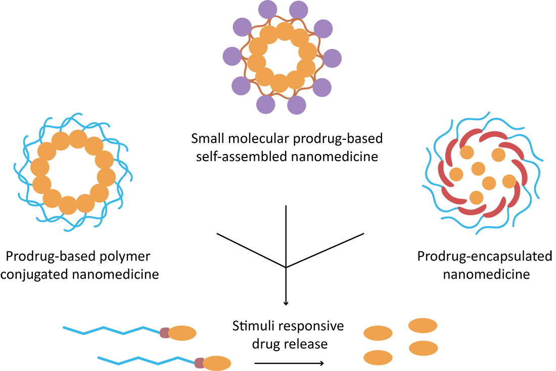 Fig.1 Structure of prodrug-based nanocarriers. (Creative Biolabs Original)