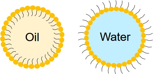 Related services-Nanoemulsion preparation. (Creative Biolabs Original) 