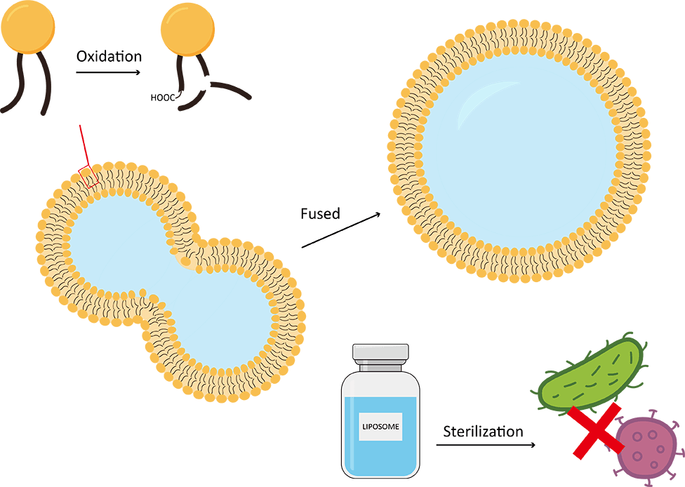 Fig.1 Liposome formulation stability monitoring. (Creative Biolabs Original)