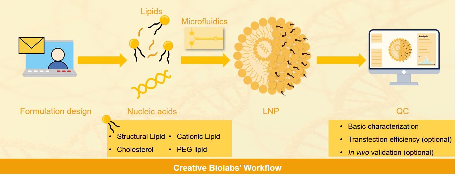 Encapsulation-LNP. (Creative Biolabs Original)