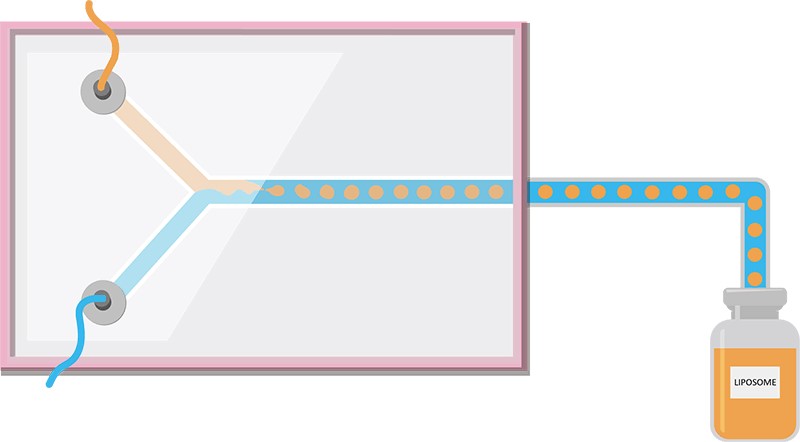 Related services-Mass production. (Creative Biolabs Original)