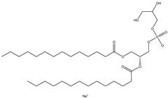 The structure of PG lipids. (Tseu, Gloria Yi Wei, and Khairul Azfar Kamaruzaman, 2023) (OA Literature)