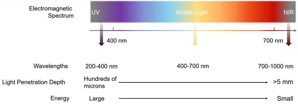 Light source. (Creative Biolabs Original)