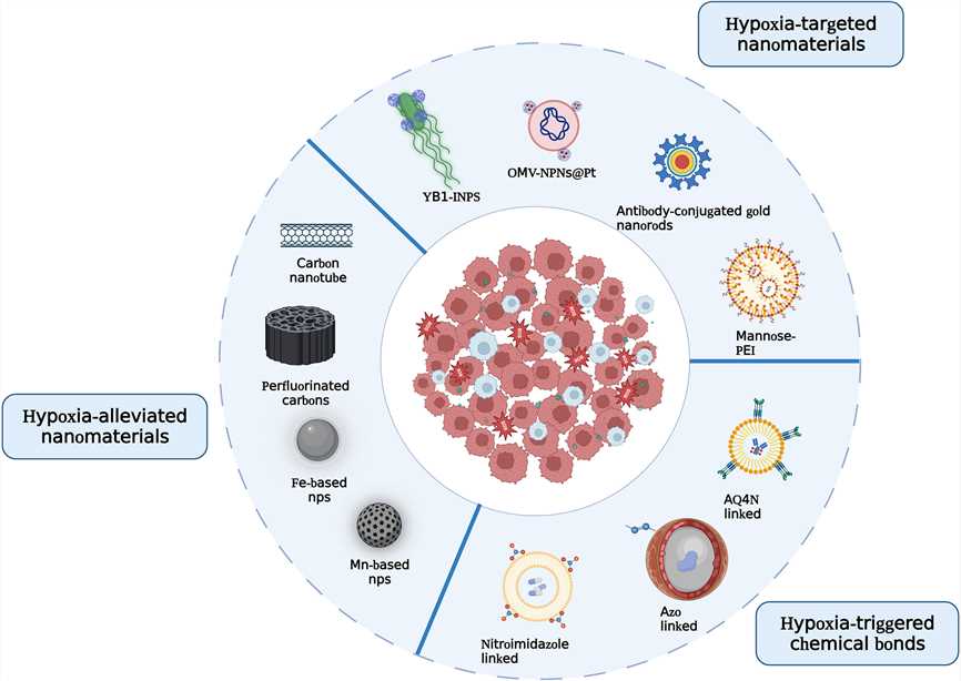 Recent advances of hypoxia-responsive chemical bonds nanoplatforms.