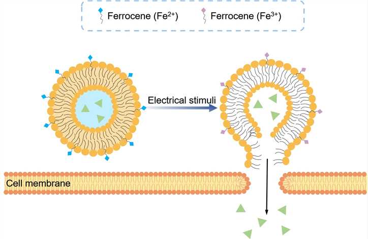 The responsive release mechanism of encapsulated drugs. (Creative Biolabs Original)