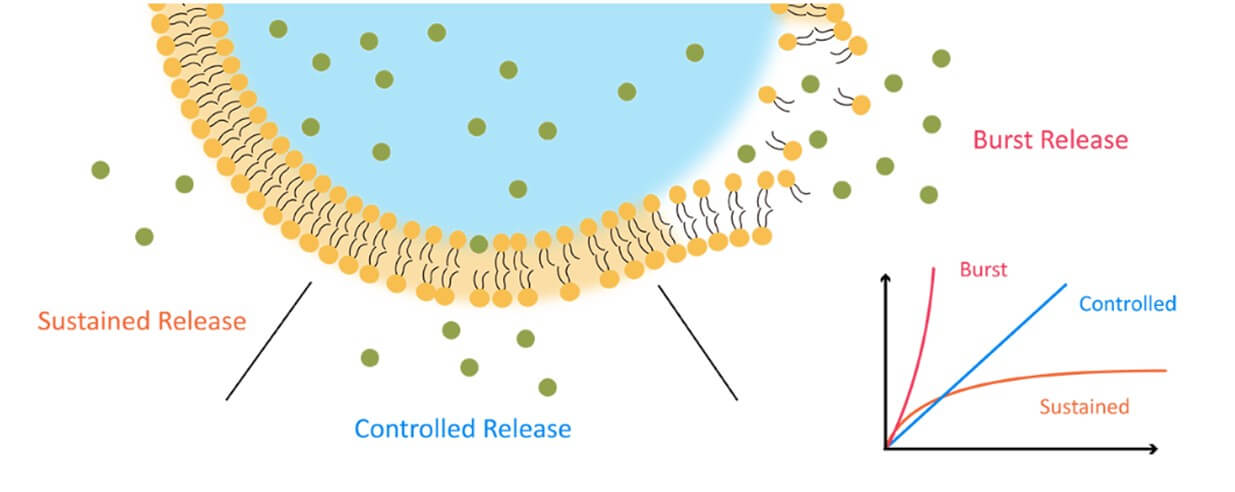 The mechanisms of drug release. (Creative Biolabs Original)
