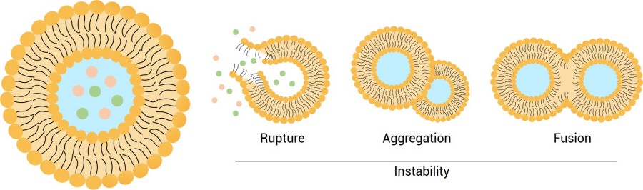 The three unstable phenomena of liposomes: rupture, aggregation, and fusion. (Creative Biolabs Original)