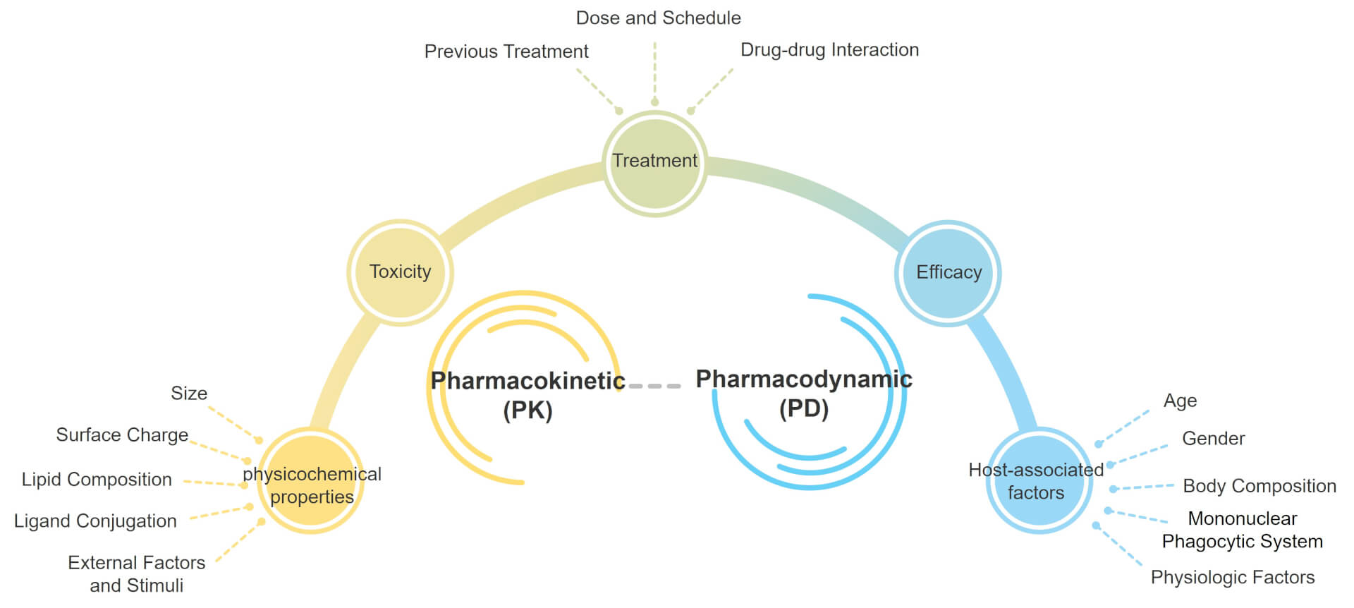 Factors affecting the PK-PD of liposome. (Creative Biolabs Original)