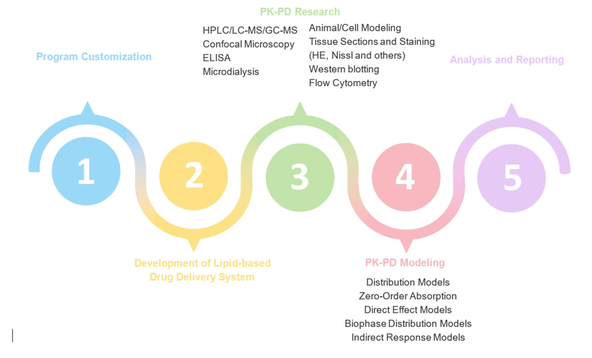 Fig.2 One-stop PK-PD Research Service. (Creative Biolabs Original)
