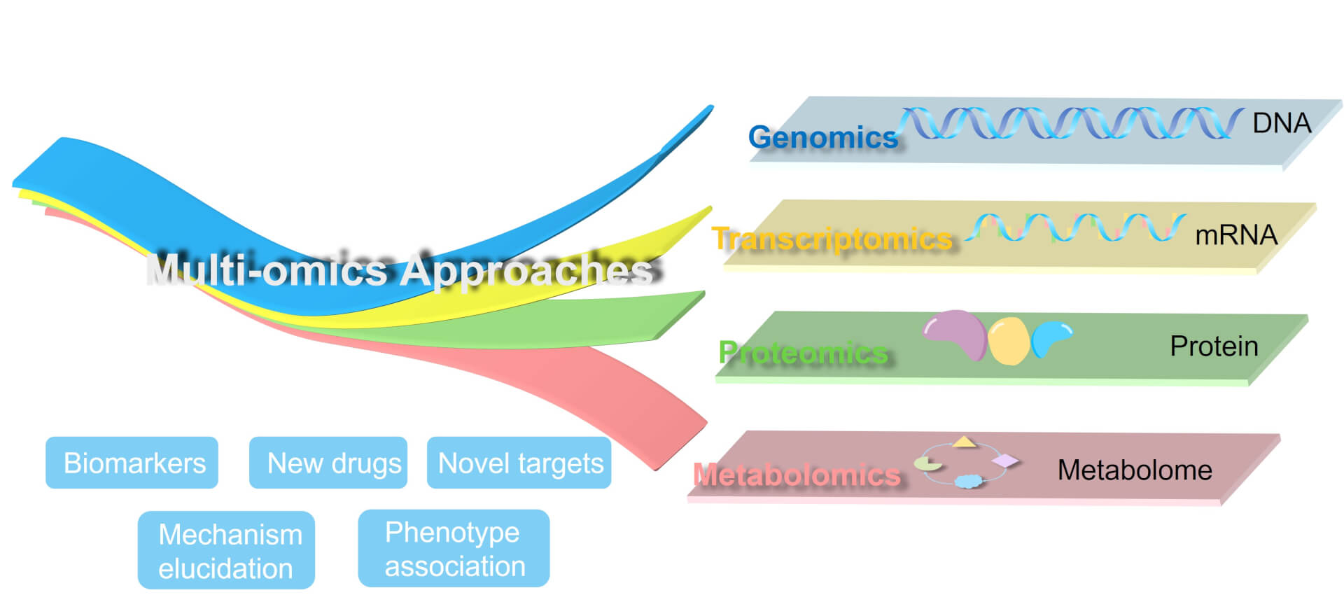 Combination of multi-omics methods. (Creative Biolabs Original)