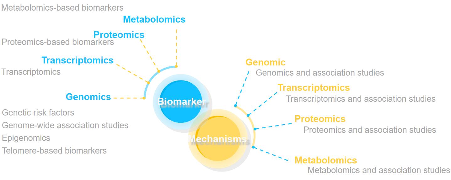 Multi-omics approach to discover biomarkers and pathological mechanisms. (Creative Biolabs Original)